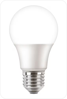 Bulb and Accessories